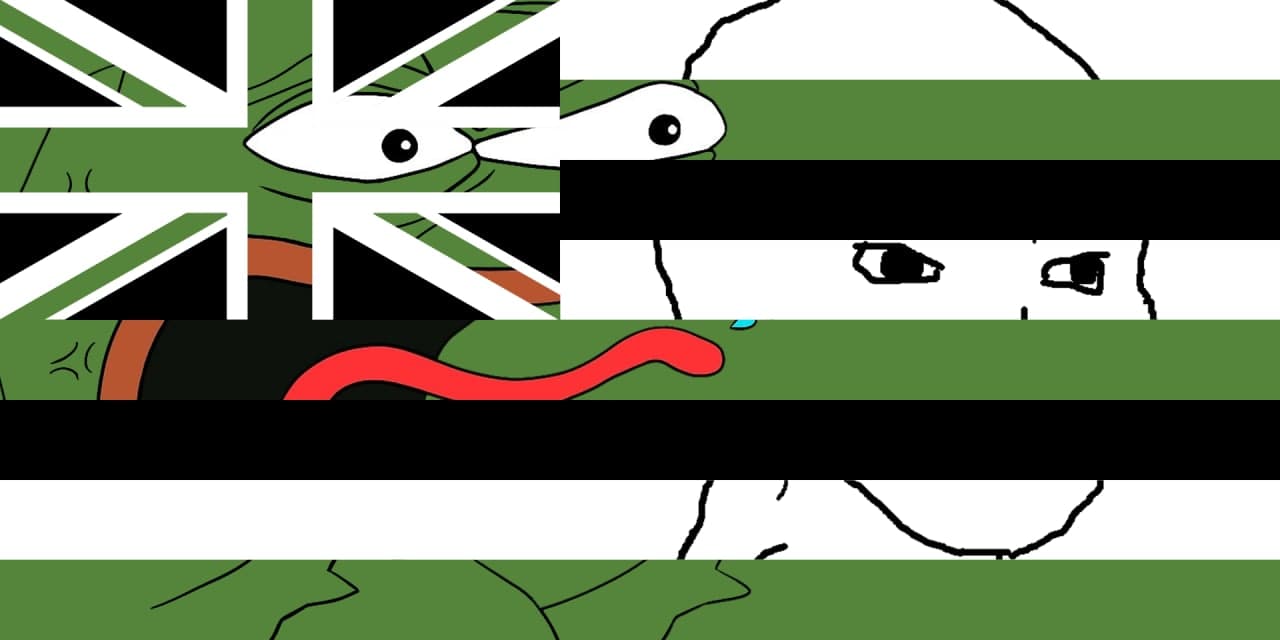 Pepe The Frog Hawaii State Flag