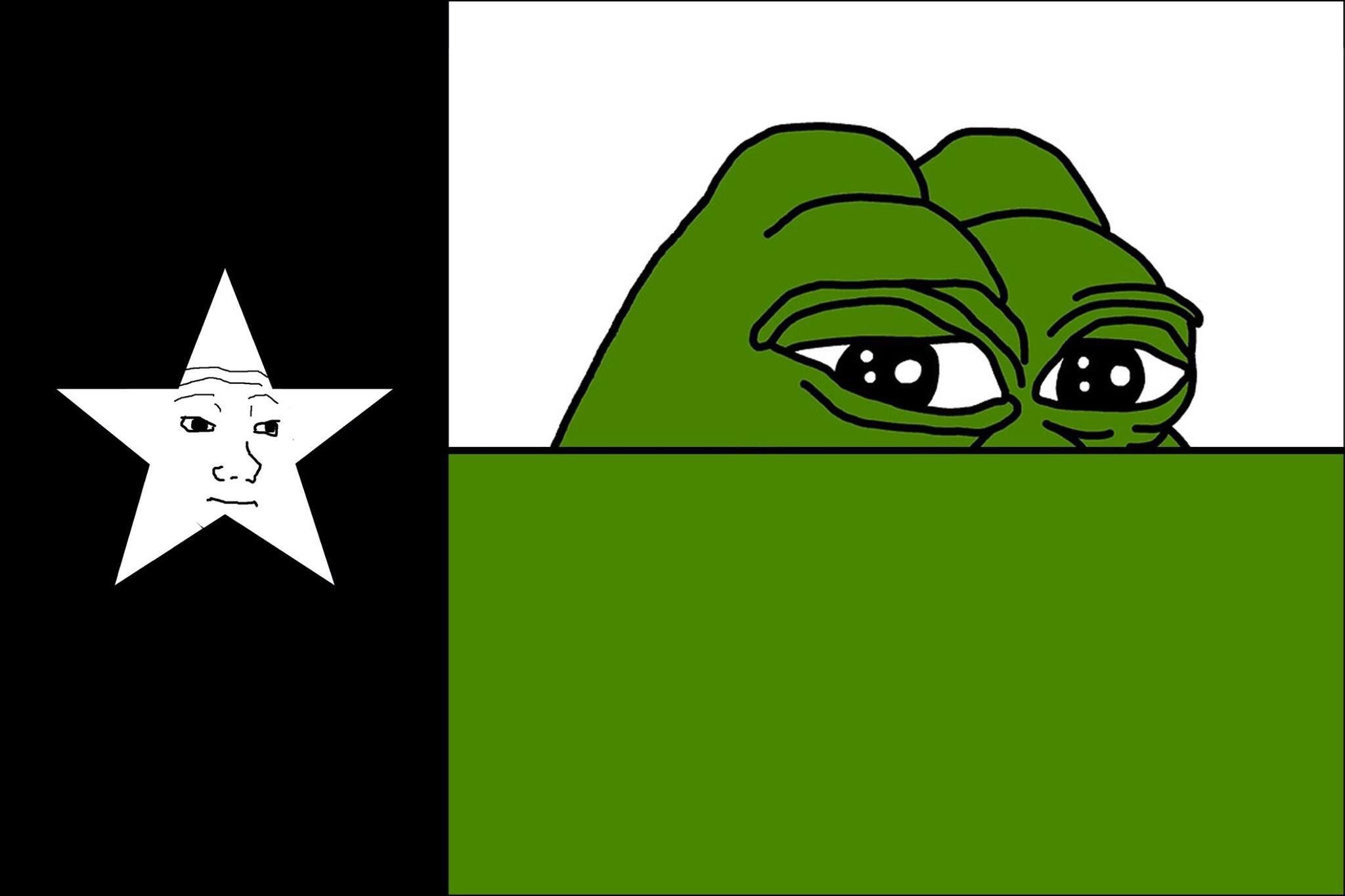 Pepe The Frog Texas State Flag