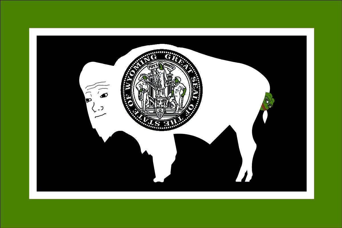 Pepe The Frog Wyoming State Flag