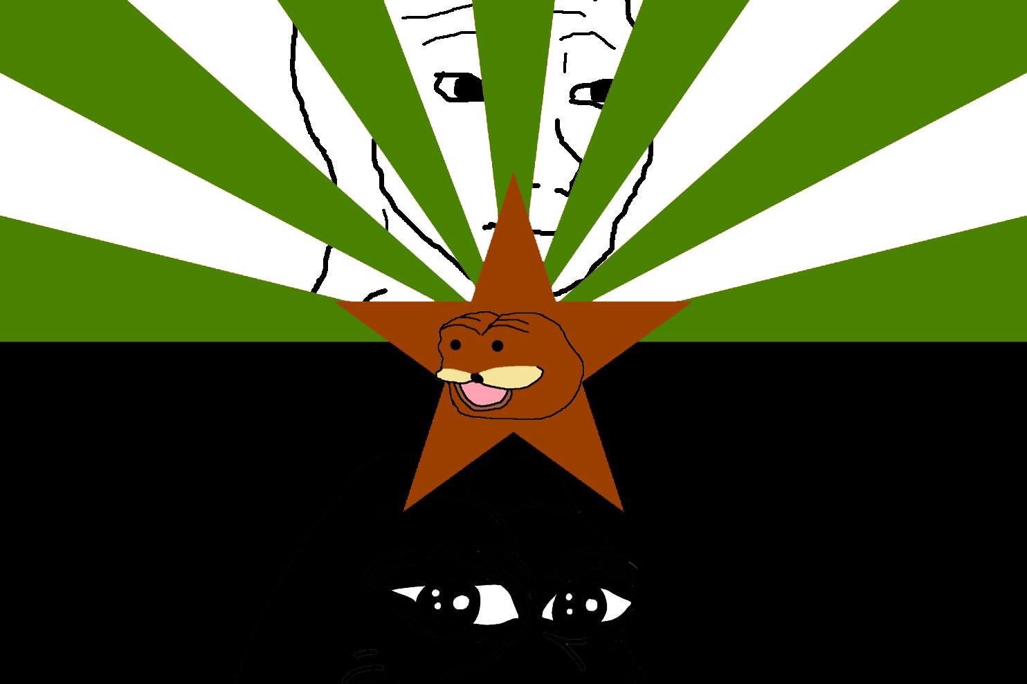 Pepe The Frog Arizona State Flag