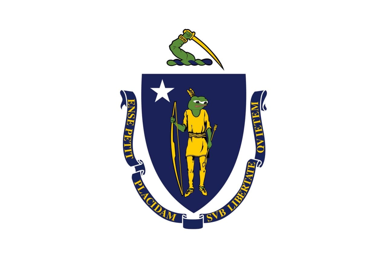 Pepe The Frog Massachusetts State Flag