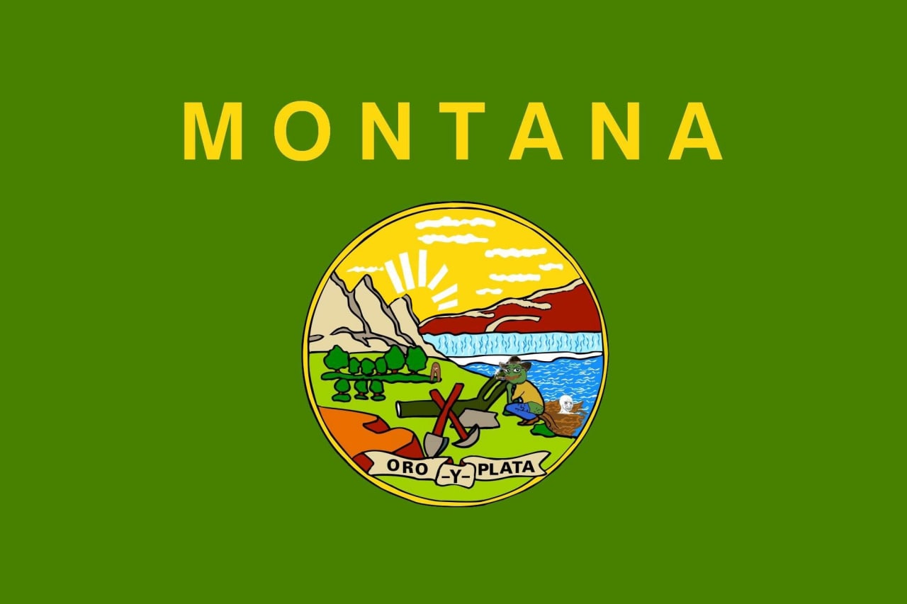 Pepe The Frog Montana State Flag